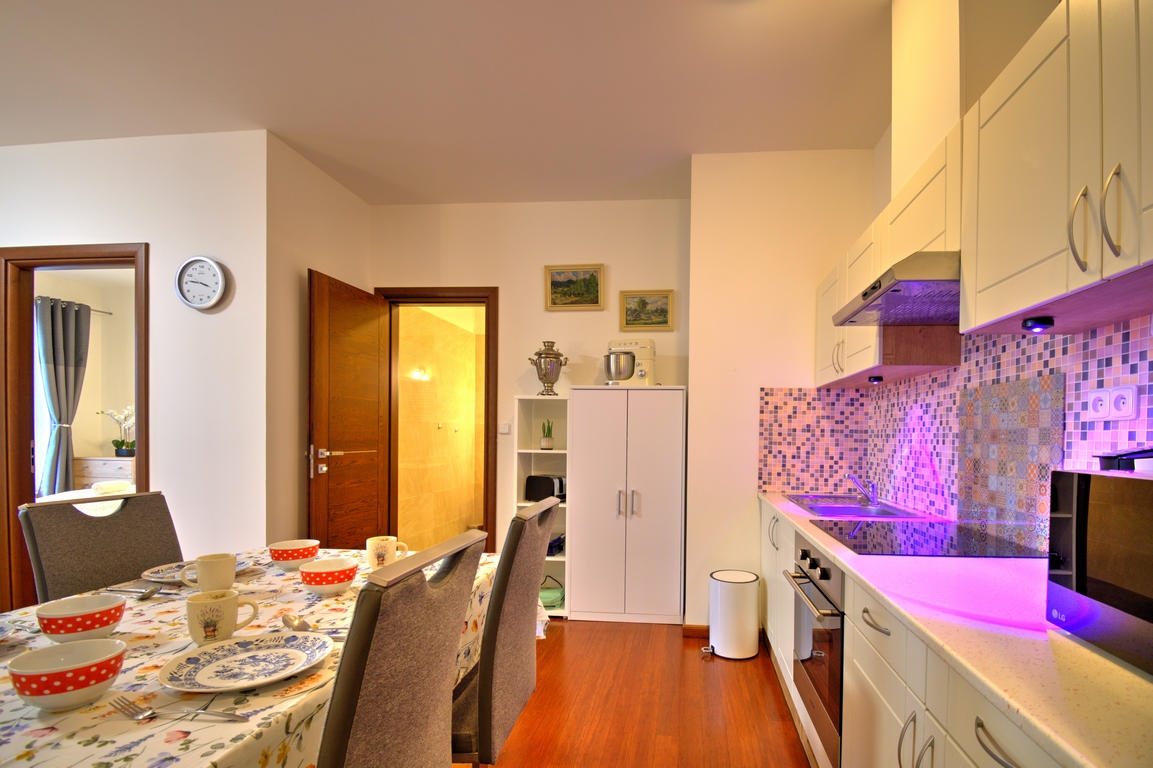 Rezidence Moser Apartment — interiér 5/6, 1 + KK, 42 m², Rezidence Moser Karlovy Vary