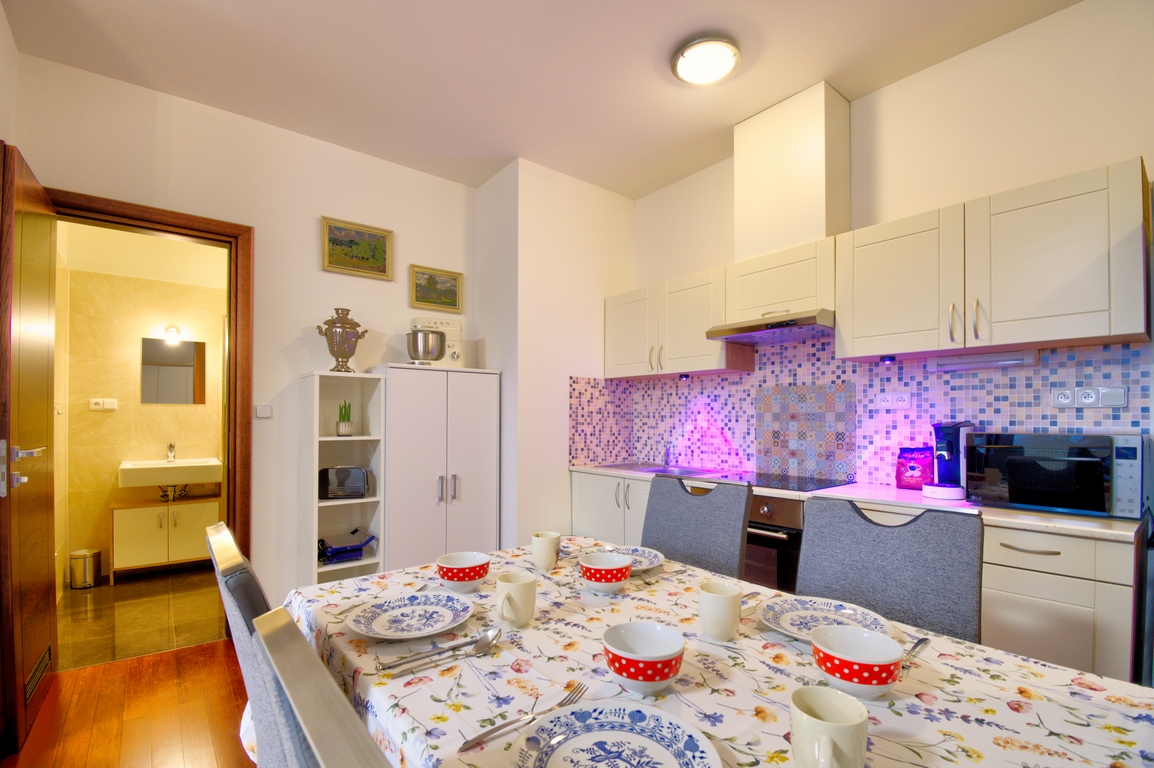Rezidence Moser Apartment — interiér 6/6, 1 + KK, 42 m², Rezidence Moser Karlovy Vary